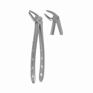 Forceps d'extraction Fig. 4 Incisif inférieur (modèle anglais) - Forceps de dissection et d'enucleation en acier inoxydable - Product Image 2