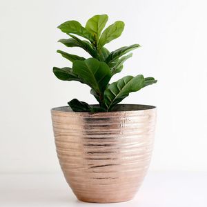 Jardinière en métal élégante au design contemporain, idéale pour les maisons de luxe, les bureaux et les espaces commerciaux - Product Image 6