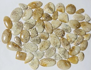 พลอยปะการังฟอสซิลอะกาไทต์ธรรมชาติแบบคาโบชองขายส่ง |   หินลายฟอสซิลทะเลที่ไม่เหมือนใครสำหรับแหวน จี้ ต่างหู - Product Image 3