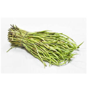 <b>Fresh</b> Taro Stolon's Export Quality Organic Taro Runners <b>Fresh</b> <b>Vegetables</b> Wholesale Supplier Bangladesh - Product Image 4
