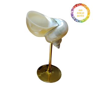 Copa de vino hecha a mano en Vietnam con conchas marinas para decoración de hogar y spa con estilo playero - Product Image 2