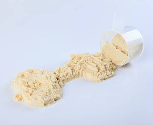 Poudre de protéines d'isolat de levure de haute pureté pour les formulations protéinées végétales et la transformation alimentaire - Product Image 2
