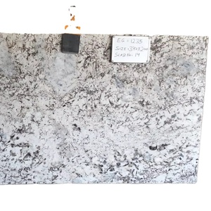 Polished Alaska White <b>Granite</b> Countertops Tiles Big <b>Slabs</b> Durable Natural Stone Modern Design 2-Year Warranty 3D Model Design - Product Image 5