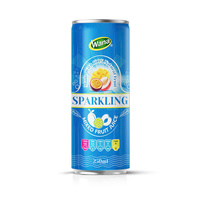 Premium natuurlijk gearomatiseerde bruisende druiven- en watermeloen sap frisdrank 250ml fles |   Verfrissende drank |   Vietnamese exporteur