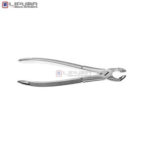 Pinzas de Extracción Tipo Berten PLUS 79 de Calidad Premium, Instrumento Dental de Extracción de Dientes de Acero Inoxidable Alemán de Grado Quirúrgico - Product Image 2