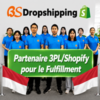 Agent de Traitement des Commandes Dropshipping Shopify Monaco |   Pas de MOQ, support de marque privée, entrepôt 3PL en Chine, livraison express aérienne en 6-12 jours