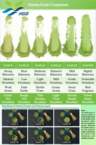 HGO Factory Direct Supply of Pure Natural Matcha Powder (Food Grade) Spécification 3A Herbal powder (Fruit OU Vegetable Powder) - Product Image 3