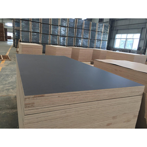 Contrachapado Fenólico Antideslizante de 18mm con Núcleo de Madera Dura, 1220*2440mm, Impermeable para Uso Marino en Construcción Naval/Andamios, Venta al por Mayor - Product Image 1