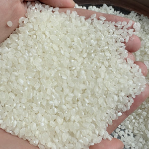Arroz Japonica de Grano Corto de Alta Calidad de Vietnam, Suave y Pegajoso, Disponible para Pedidos al por Mayor, Importación y Exportación, Cosecha Más Reciente 2025 - Product Image 4