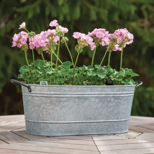 Ensemble de seaux élégants en métal galvanisé avec poignées en corde pour jardinières, décoration intérieure, forme ovale, finition durable - Product Image 3