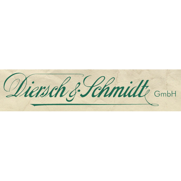 Diersch & Schmidt GmbH logo