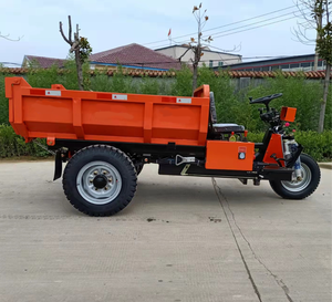 Triciclo de Carga de Tres Ruedas de Alto Rendimiento, Vehículo de Carga Eléctrico Diésel para Entrega de Mercancías, Uso Agrícola e Industrial, Nuevo - Product Image 1