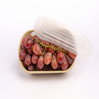 Emballage pour fruits écologique, anti-casse, compostable, plateau en pulpe moulée, plateau pour fruits frais, fabricant vietnamien, boîtes en papier
