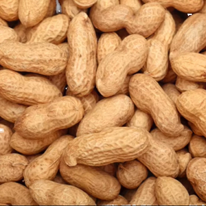 Arachides de qualité supérieure en gros, vente en vrac, prêtes à être expédiées, qualité supérieure pour l'exportation - Product Image 6