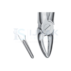 คีมถอนฟัน ฟันหน้าบน รากฟัน สแตนเลส เครื่องมือผ่าตัดแบบใช้มือ คลาส 1 - Product Image 5