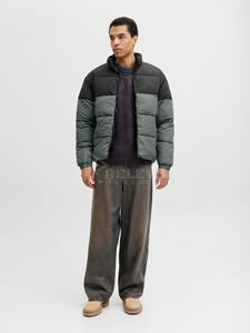 Blouson matelassé à capuche léger et imperméable pour homme, coupe-vent, style universitaire personnalisé, streetwear, en duvet de canard, pour le printemps - Product Image 3