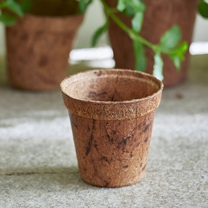 Macetas Biodegradables de Fibra de Coco, Macetas Sostenibles para Plantas, Precio de Fábrica Más Bajo de Vietnam - Product Image 4