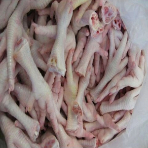 Premium Frozen <b>Chicken</b> Paws Wholesale Supplier for Bulk Orders - Product Image 2