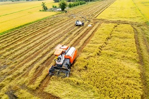 Kubota DC-108X Agricultural Harvesting Equipment 108HP Grain Rice Combine <b>Harvester</b> with Wide Cutting Header - Product Image 6