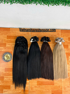 Extensions de cheveux naturels du Vietnam, trame invisible, super double drawn, cheveux Remy, 100g - Product Image 1