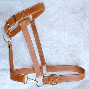 Cabestro de Cuero Premium para Caballo, Color Bronceado, Doble Costura, Ajustable, con Hebillas y Anillas de Latón, Cabestros para Carreras de Caballos - Product Image 3