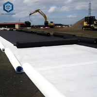 Géotextile 400g/m² pour la construction routière : Tissu filtrant en géotextile pour la stabilisation des sols – Excellent rapport qualité-prix