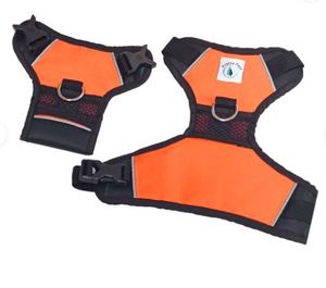 Harnais de luxe pour chien Navrit Creation en dentelle, personnalisé, anti-traction, réfléchissant, respirant, réglable, confortable, en nylon tactique - Product Image 3