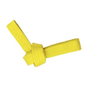 Ceinture jaune d'arts martiaux en coton pour le karaté et le taekwondo, ceinture de niveau débutant, équipement d'entraînement professionnel, ceinture de BJJ - Product Image 3