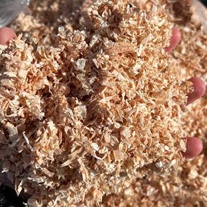 Low Dust Compressed Pine Shavings Bulk Container Load - Product Image 1