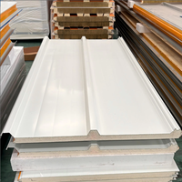 Panneaux sandwich en polyuréthane (PU) de 50, 75, 100, 120, 150, 200 mm pour murs extérieurs industriels, isolation de toitures et murs, chambres froides et congélateurs.