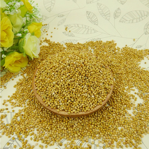 Approvisionnement en vrac de millet de qualité supérieure, qualité alimentaire, stock disponible, service OEM, exportation - Product Image 3