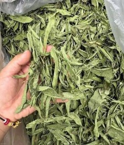 Feuilles de stévia séchées, sans conservateurs, produit 100% pur, à utiliser pour les tisanes ou les extraits de plantes, prix abordable, export Vietnam. - Product Image 2