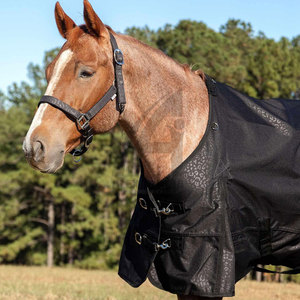 Collar de cuero halter de diseño personalizado para caballos, equipo ecuestre, halter de cuero con acolchado suave de Alexandria Industries - Product Image 6