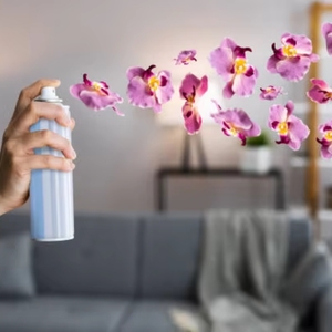 Spray désodorisant d'intérieur à marque privée, parfum naturel, spray d'ambiance, parfum pour la maison, fournisseur en gros OEM - Product Image 5