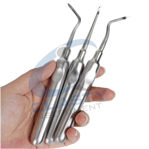 Élévateurs dentaires manuels en argent, instrument chirurgical de classe I, poignée ergonomique, certifié CE - Product Image 2
