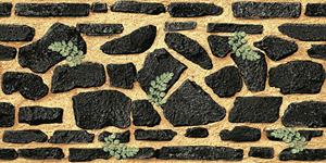 Azulejos Premium Choice de Calidad Superior Asia Tiles Elevation de 300x600mm para Paredes, Ideales para la Salud. - Product Image 4