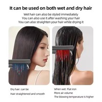 Styler multi-usages professionnel pour salon, 2 en 1, airstyler, séchage à l'air, séche-cheveux, fer à lisser, lisseur de cheveux avec air