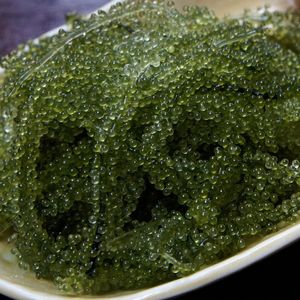 สาหร่ายทะเลสด คาลเลอร์ปา เลนติลิเฟรา สาหร่ายองุ่นทะเล สำหรับสลัด ซูชิ ใช้ในร้านอาหาร ส่วนผสมสีเขียวธรรมชาติ - Product Image 2