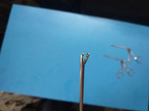 Pinzas Panther Alligator con revestimiento serrado fino de 3.0 mm, pinzas rectas de alta calidad, instrumentos médicos Panther. - Product Image 2