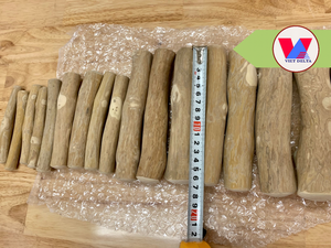 Bâtonnet à mâcher en bois de café écologique, longue durée, pour chiots, jouet d'hygiène buccale, le plus vendu, Vietnam - Product Image 4