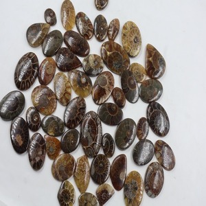 2025 Madagascar Naturel Ammonite Lâche Pierres Précieuses Cabochon Ovale Poire Forme Fantaisie Suture Modèles Anneaux Fabrication de Bijoux En Gros - Product Image 1