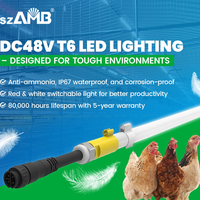 Éclairage professionnel pour poulailler, lumière pour poulets, lumière LED pour volailles DC48V, dimmable, sans scintillement, tube T6 anti-corrosion