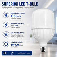 Ampoule LED en forme de T, vente en gros, matières premières SKD CKD, E27 B22 5W 10W 20W 30W 40W 60W, ampoule à économie d'énergie pour bureau et logement