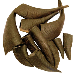 Masticables para Perros 100% Auténticos, de Primera Calidad y Sostenibles, Hechos con Agua y Cuernos de Cabra para Uso Diario, Suministro a Granel desde India - Product Image 2