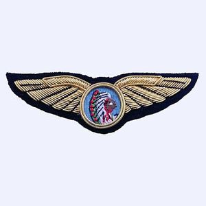 Écusson brodé personnalisé avec emblème d'aigle, à coudre ou thermocollant, pour décorations vestimentaires - Product Image 1