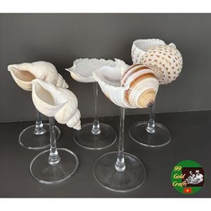 Handmade Shell Cocktail <b>Cups</b> for Coastal Wedding Decoration Nautical Event Styling and Ocean Inspired Tableware - Product Image 5