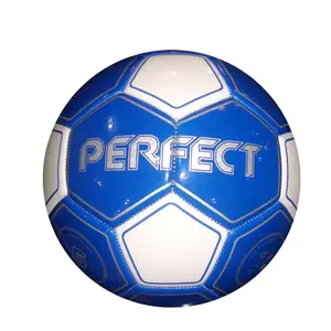 Hot Selling High Quality Customized Logo Printing 2024 Sports Football Custom Leather Material Soccer Football Balls