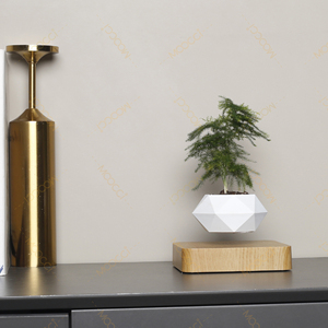 Haut de gamme Commercial créatif artificiel lévitation magnétique bonsaï flottant intérieur maison bureau <span class=keywords><strong>d</strong></span>écoration Air plante Pot - Product Image 3