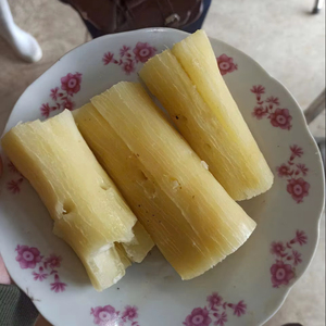 Fabricante de Yuca Congelada Natural en Trozos, Yuca Congelada, Mandioca Congelada, Ingrediente Alimenticio al por Mayor de Vietnam - Product Image 1