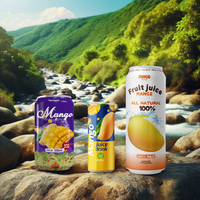 Beste Hoge Kwaliteit Gearomatiseerd Fruit & Groentesap Met Vitaminen Mineralen Laag Moq Gratis Monster Voor Usa Canada Afrika China Export